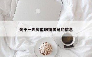 關(guān)于一匹智能眼鏡黑馬的信息